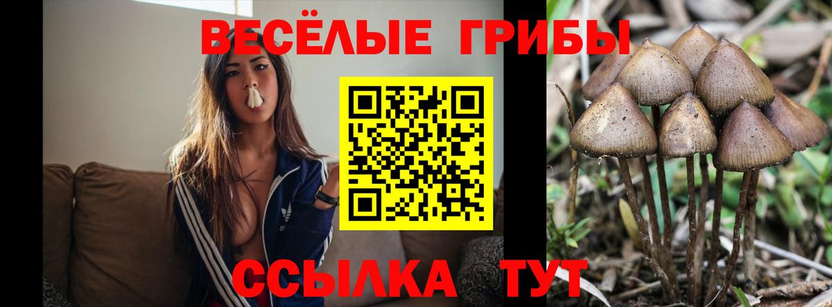 ГАШ Сатка